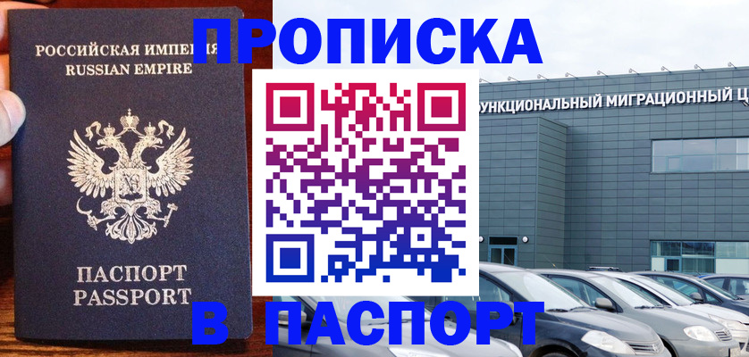 временная регистрация адрес в Елизово